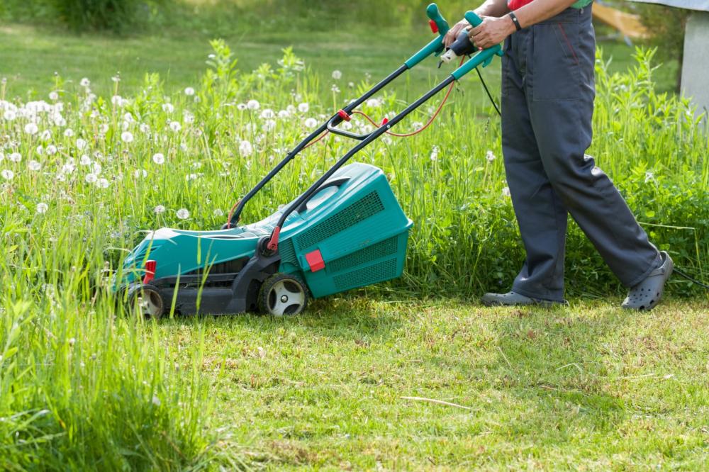 entretien espaces verts - SMRH